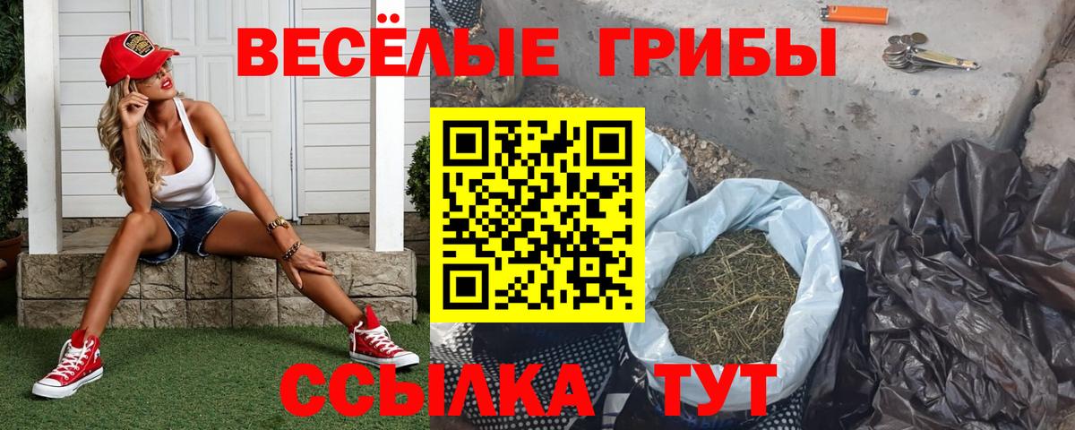 Галлюциногенные грибы Psilocybe  Вход с VPN  Кумертау 