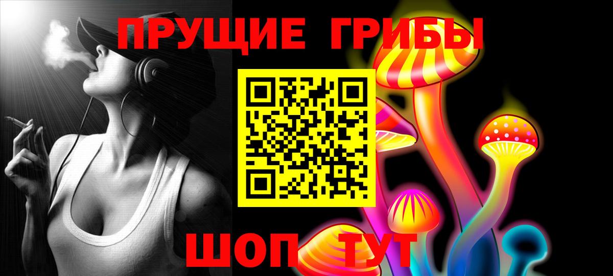 Галлюциногенные грибы Psilocybe Кумертау